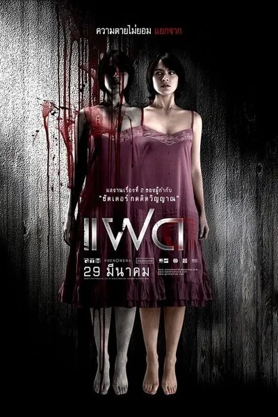 โปสเตอร์หนัง แฝด Alone