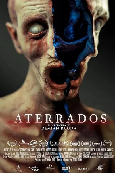 โปสเตอร์หนัง คดีผวาซ่อนเงื่อน Aterrados (Terrified)