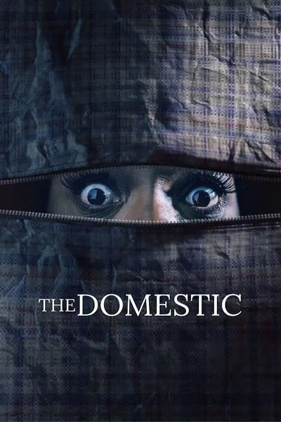 โปสเตอร์หนัง The Domestic The Domestic