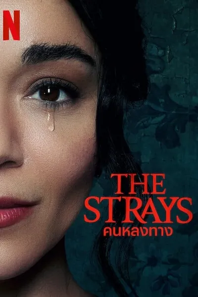 โปสเตอร์หนัง คนหลงทาง The Strays