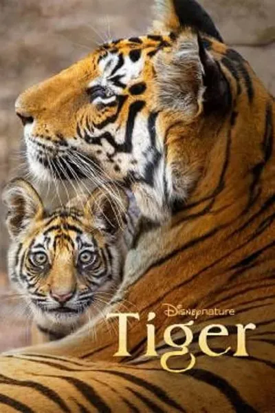 โปสเตอร์หนัง Tiger Tiger